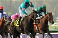 /horse/Zenyatta siblings