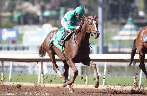 Zenyatta's son, Ziconic finishes a hard closing third in debut