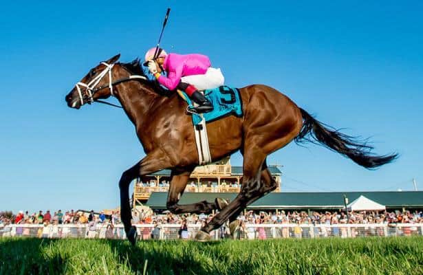 final stretch-horse racing for mac final stretch-horse racing for mac