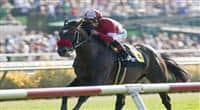 Acclamation and Joel Rosario win th Eddie Read Stakes(GI) at Del Mar Thoroughbred Club in Del Mar, CA. July 20, 2011 