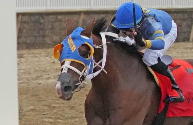 Ain’t Da Beer Cold primes for Maryland Million Classic defense