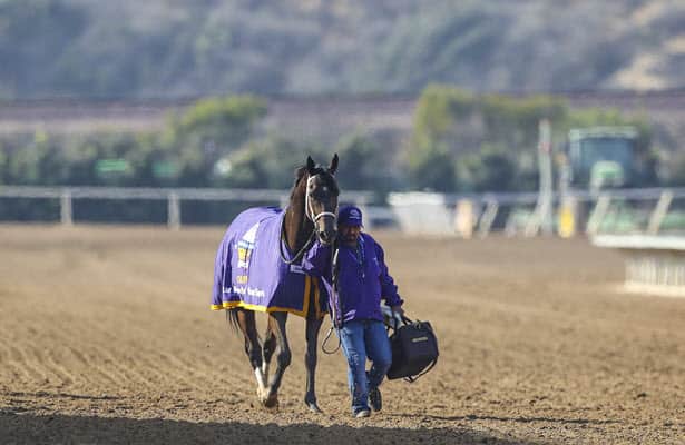 What's next for Aloha West after upset Breeders' Cup win?