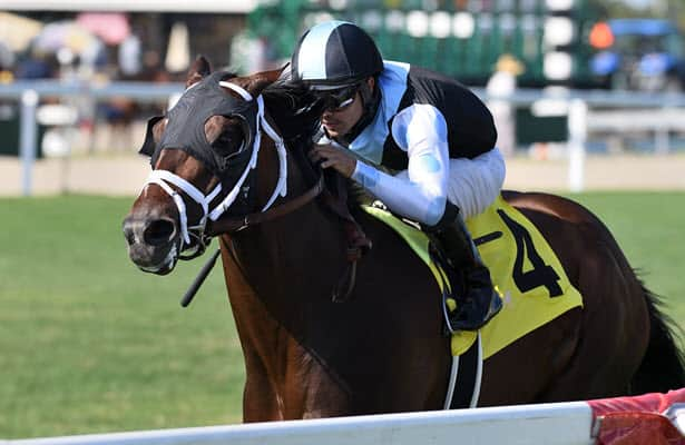 Pletcher juvenile Ari Gold scores as the favorite in Pulpit