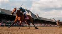 Ask The Moon, jockey Luis Saez up, wins the Ruffian Invitational Handicap on Ruffian Handicap Day at Saratoga Race Course in Saratoga Spring, New York on July 31, 2011 