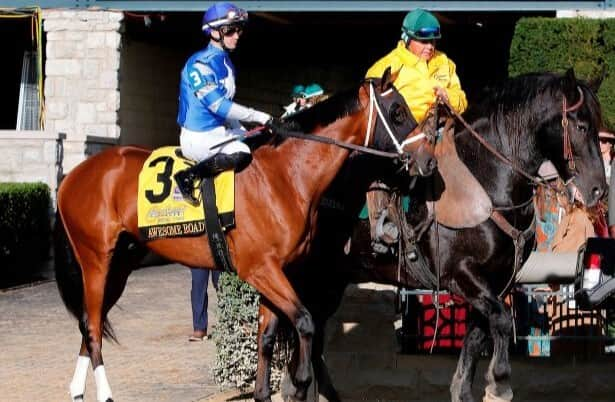 Meet the Contenders: Kentucky Jockey Club