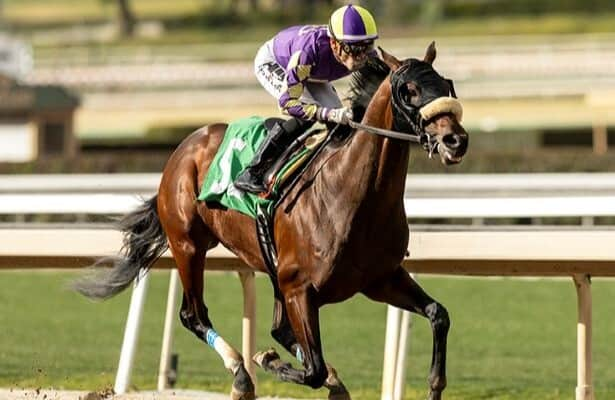 Baeza, half to Mage and Dornoch, may join Kentucky Derby trail