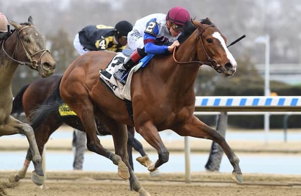 Preview: NY-bred mares will sprint in Sunday's Dancin Renee
