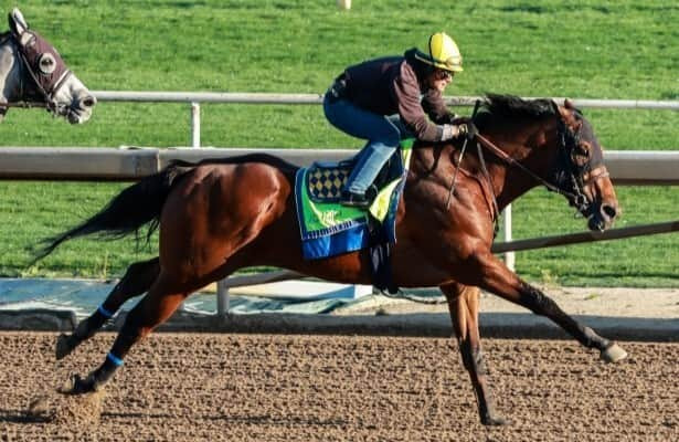 Kentucky Derby trail: Top Baffert 3-year-olds work Monday