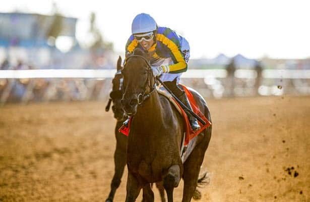 Blue Stripe is back in Breeders' Cup after Clement L. Hirsch win