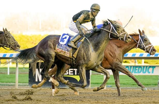 Saturday Plays: Single this Kentucky Derby prospect