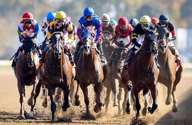Media Eclipse Award winners for 2021 are revealed 