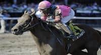 Caleb's Posse (no. 4), ridden by Rajiv Maragh and trained by Donnie Von Hemel, wins the 19th running of the grade 2 Amsterdam Stakes for three year olds on August 1, 2011 at Saratoga Race Track in Saratoga Springs, New York. (Bob Mayberger/Eclipse Sportswire)