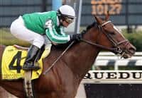 Capt. Candyman Can takes the Bay Shore on Wood Memorial Day at Aqueduct