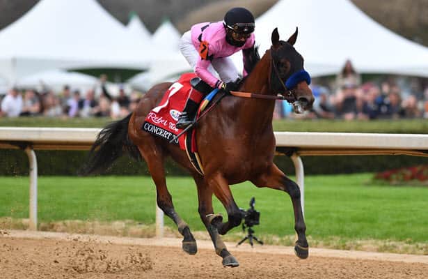 Fifth Season Stakes 2022: Odds, free PPs, preview