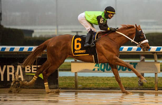 Kentucky Derby pedigrees: Courvoisier could take charge