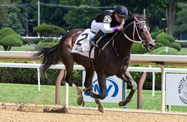 Damon's Mound moves to 2-for-2 in Saratoga Special