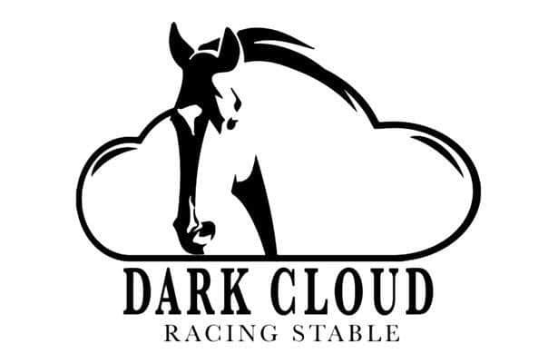 Horse dies after post-race collision at Assiniboia