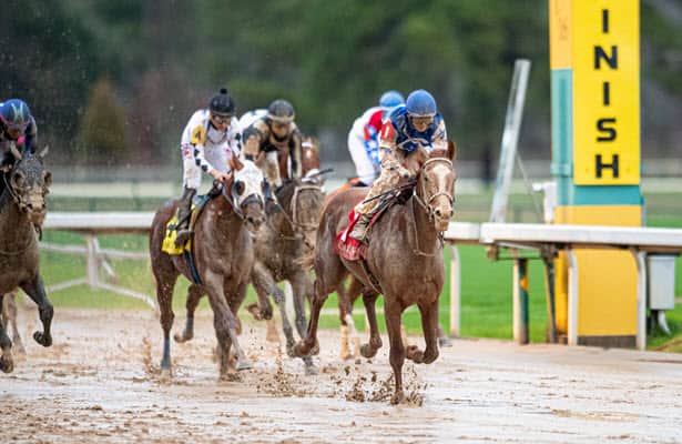 Head to Head: Handicapping the 2022 Southwest Stakes