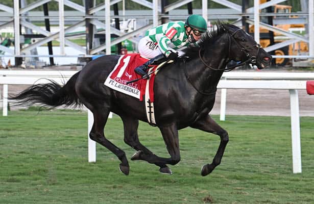 Tagg solves training puzzle with Pegasus Turf contender Doswell