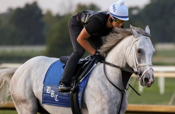 Head to Head: Dragoon Guard steps up in Pennsylvania Derby