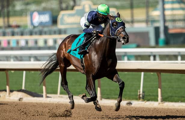 While spot secure, Dream Shake could bypass Kentucky Derby