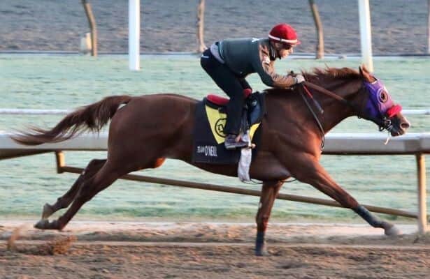 Improving E J Won the Cup prepares for Indiana Derby