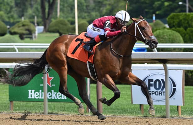 Echo Zulu earns 92 Beyer in Saratoga maiden win; stakes next