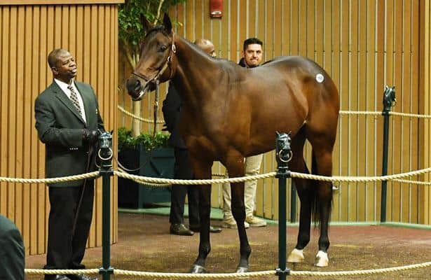 Grade 1-placed Enaya Alraab fetches $640,000 to top Keeneland session