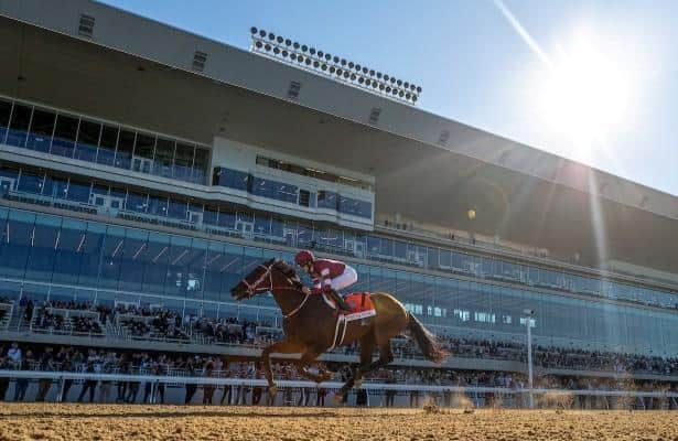 Horse Racing Nation