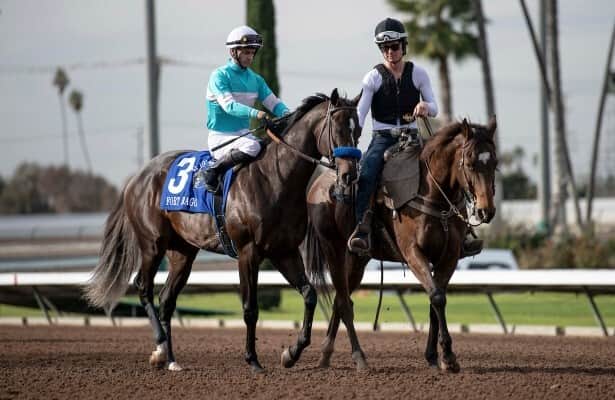 Sunday tab: 7 Derby prospects, 40 other graded winners work
