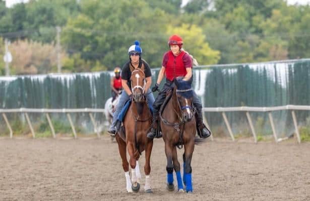 Pennsylvania Derby: Why they win, why they lose