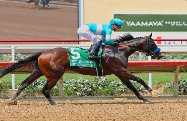 Getaway car speeds away in Best Pal for Baffert