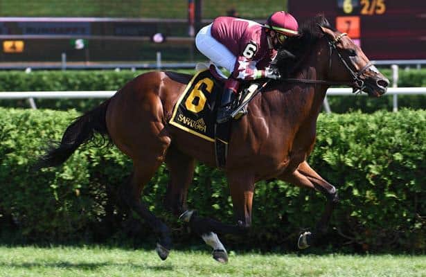 Golden Pal romps gate-to-wire in Skidmore to earn diploma