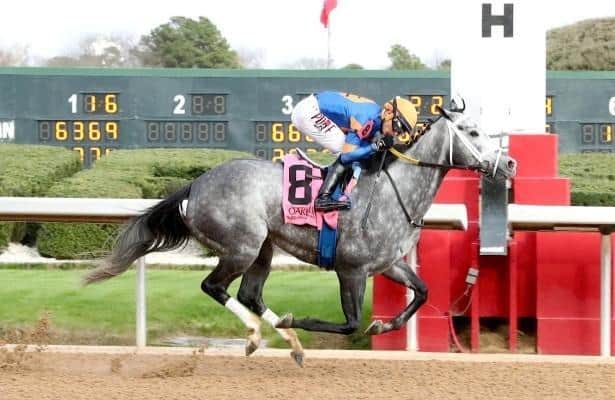 Speed figures: New millionaire Haulin Ice leads fastest horses