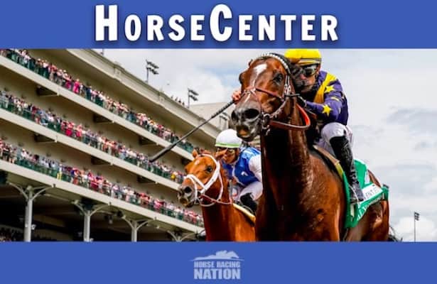 HorseCenter: Check out sweet 16 for Kentucky Derby 2023