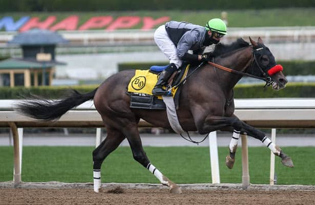 Hot Rod Charlie 'all set' for Kentucky Derby after stiff 6F drill