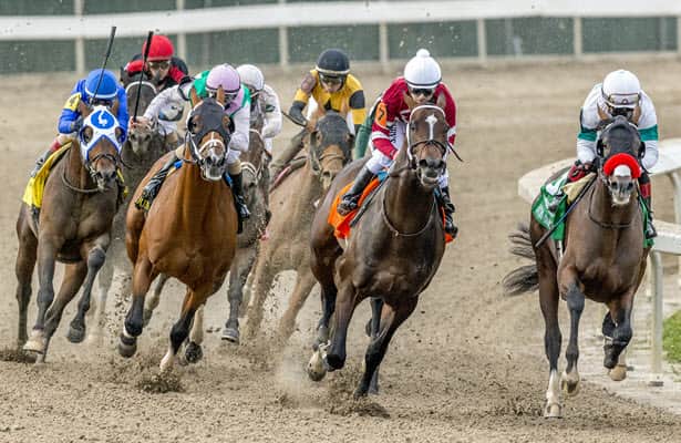 How Hot Rod Charlie's pedigree positions him for the Ky. Derby