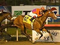 /horse/Into Mischief progeny