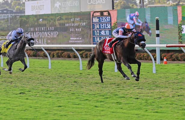 Santa Anita: Undefeated Iscreamuscream faces older competition