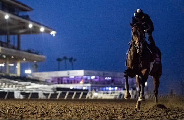 Horses to Watch: 17 to follow on Breeders' Cup Saturday