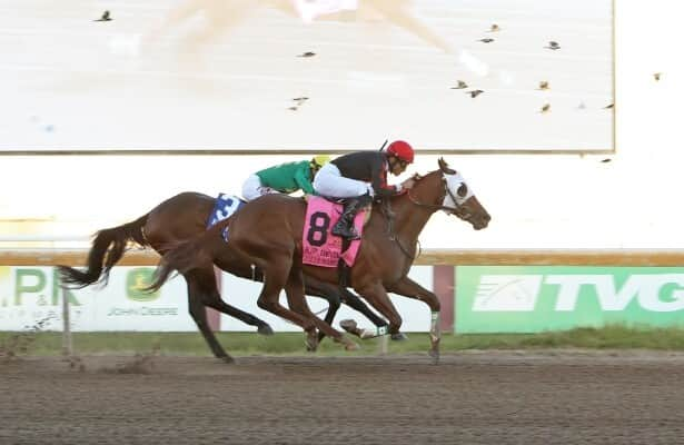 Kentucky Derby trail: Springboard Mile attracts full field of 12