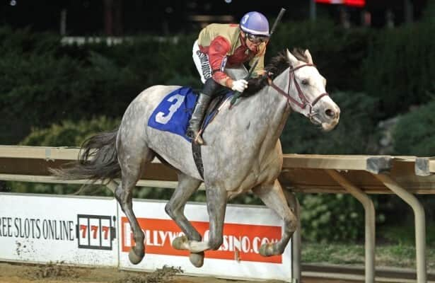 Jubawithatwist faces older in West Virginia Breeders' Classic