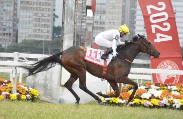 Kenlova leads 16 in Breeders’ Cup Turf qualifier in Brazil