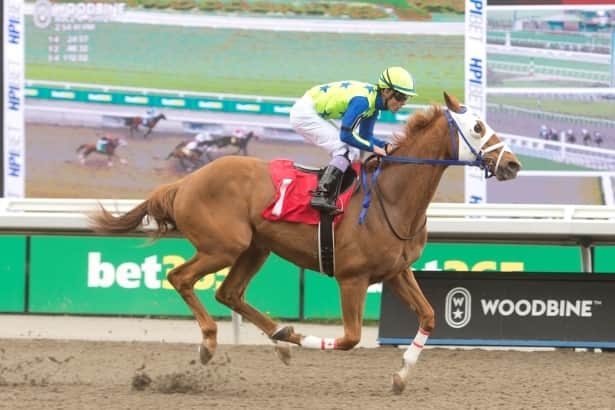 Lapochka, 11-year-old fan favorite at Woodbine, is retired