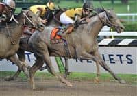 Macho Again captures the 2008 Jim Dandy
