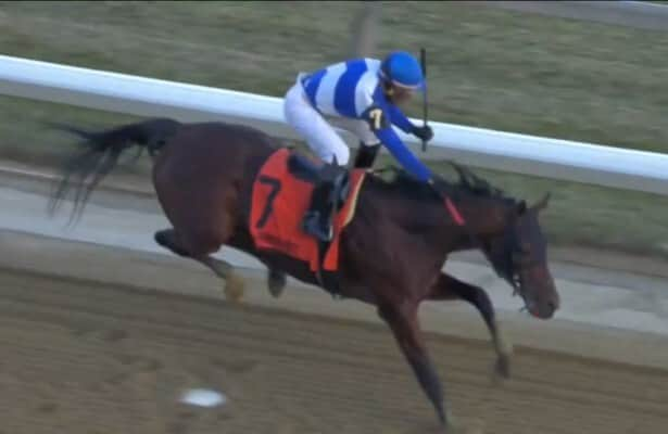 Jockey hangs on for win after horse jumps a puddle of pee