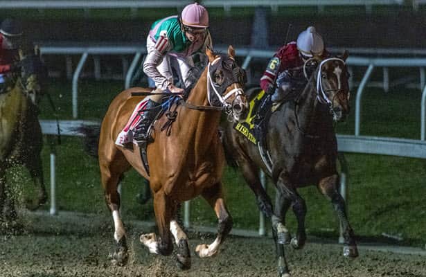 Midwest scouting report: 16 remaining Ky. Derby hopefuls