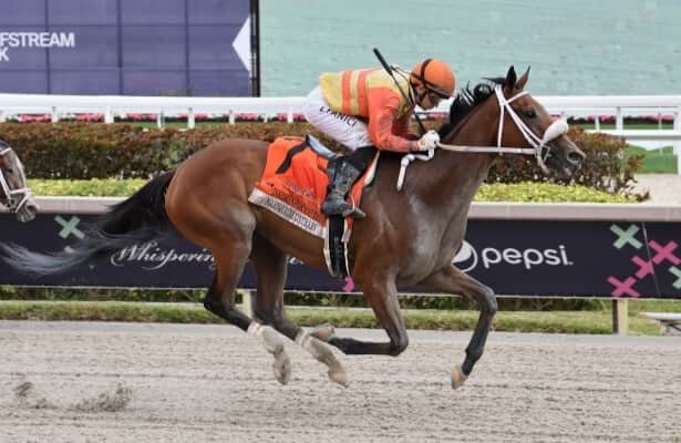 Maryquitecontrary wins 5th straight in Inside Information