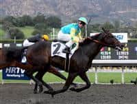 Pioneerof the Nile and Garrett Gomez capture the Robert B. Lewis Stakes at Santa Anita