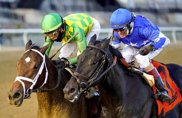 Mo Donegal edges favorite Zandon to win the Remsen 